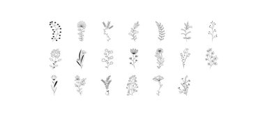 Traditional hand drawn flowers. Set of black doodle elements, grass, leaves, flowers. Ready for invitation, greeting card, wallpaper, wedding invitation, save the date. Vintage botanical border set. 