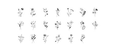 Black and white illustration ginkgo biloba, ginko, eucalyptus, maple, oak, herbs. Vector leaves branches set isolated on transparent background. Decorative vintage elements for decoration collection