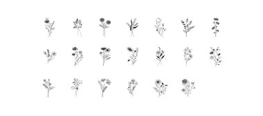 Vector botanic illustrations. Botanical clipart. Set of line art branches. Floral Herb Design elements. Perfect for wedding invitations, greeting cards, blogs, posters and more. Vector illustration
