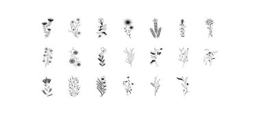 Wildflower lavender flower pattern in a one line style. Outline of the plant, black and white engraved ink art lavender. Sketch wild flower for background, texture, wrapper pattern, frame or border