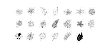 A set of hand-drawn twigs with leaves. Doodle style. Botanical, plant elements for design of postcards, invitations. Isolated on white. Luxury design set for wedding and decoration. 