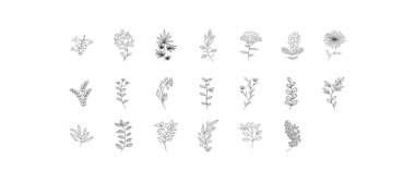 a set of medicinal edible plants, leaf flowers and berries in the sketch style. collection of isolated black contour, daisies, sunflowers, cherry blossoms, peony, clover . Vector illustration