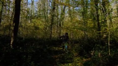 Orman yolunda ağaçların arasında sırt çantasıyla dağ yürüyüşü yapan genç bir adam, çalıların arasından geçmeye çalışan bir dağcı.
