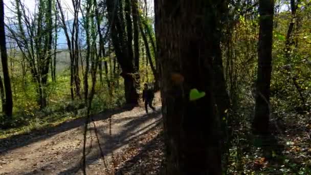 バックパックを持つ若い男は 秋の森の中の黄色の木々を介して道路を歩く キャンプ若い人のハイキング — ストック動画