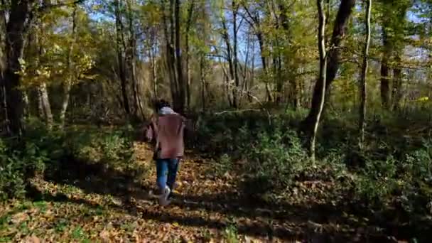 Ung Man Rock Springer Genom Träden Skogen Hösten Har Kommit — Stockvideo
