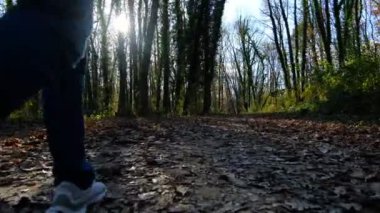 Sırt çantalı kampçı dağda yürüyüş yapıyor, toprak yola düşen kahverengi yaprakların güzel manzarası, doğal çevreyi koruyor.