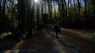 Sonbaharda ormanda yürüyen genç bir sırt çantalı adam döner ve arkasına bakar. Yeşil ağaçların arasında doğa muhafızı.