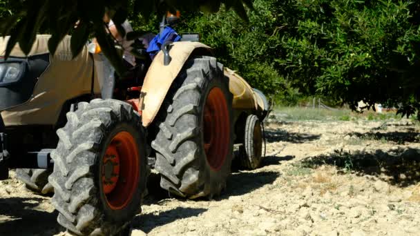 Stehender Traktor Orangefarbener Großer Gartentraktor Landwirtschaftliche Geräte Die Garten Arbeiten — Stockvideo
