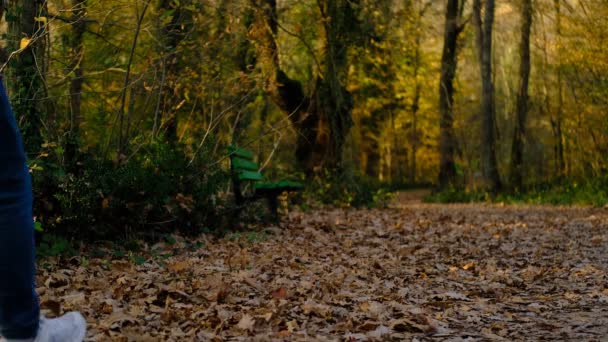 倒木の上を歩く若い男は秋に未舗装の道路に出て 自然木やベンチで公園を歩く人 — ストック動画