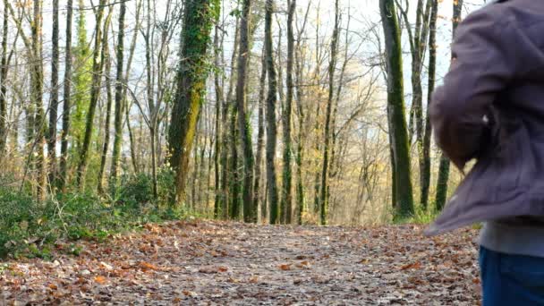 秋のスローモーションで森の道を走るジャケット姿の若者 自然公園でジョギングするスポーティな若者 — ストック動画