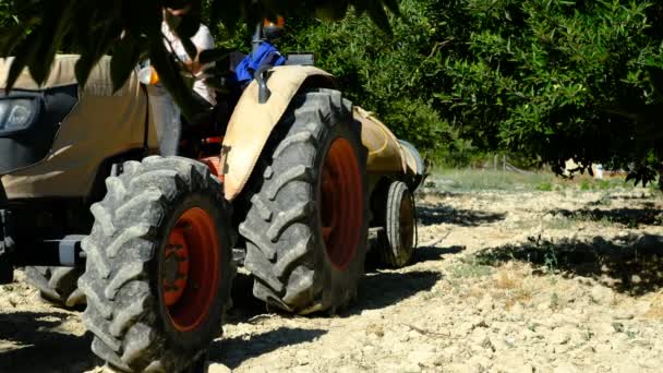 Pohyb Traktor Oranžový Velký Zahradní Traktor Zemědělské Vybavení Pracující Zahradě — Stock video