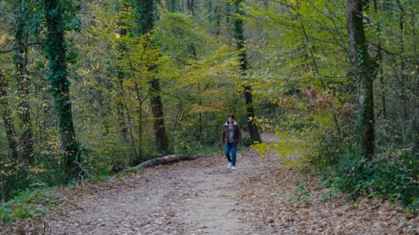 緑と茶色の木の間の未舗装の道を歩いている若い男は 秋に黄色に変わり 地面に落ちる — ストック動画