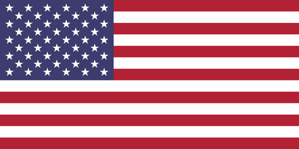National flag of United States of America that can be used for national days. Vector illustration
