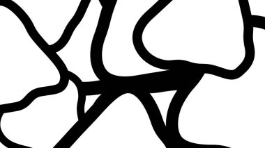 Soyut siyah beyaz desen. Karmaşık çizilmiş şekiller. Yüksek kalite fotoğraf