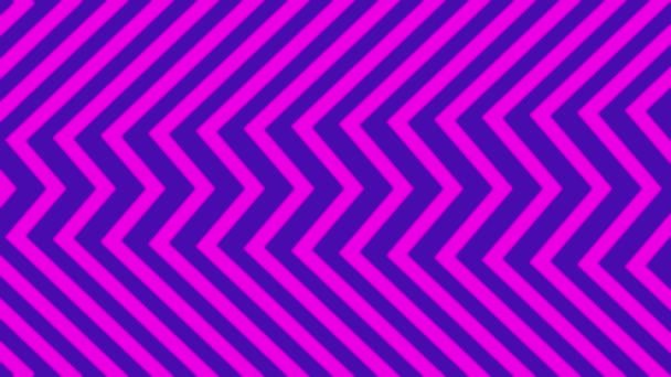 Linie Illusion Schleifendesign Illustrationskunst Für Geometrische Lila Und Magenta Linien — Stockvideo