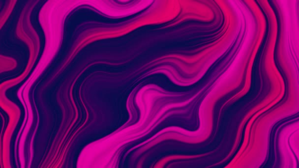 Неоновая Жидкость Абстрактный Фон Петли Волнистые Линии Фиолетовыми Пурпурными Синими — стоковое видео