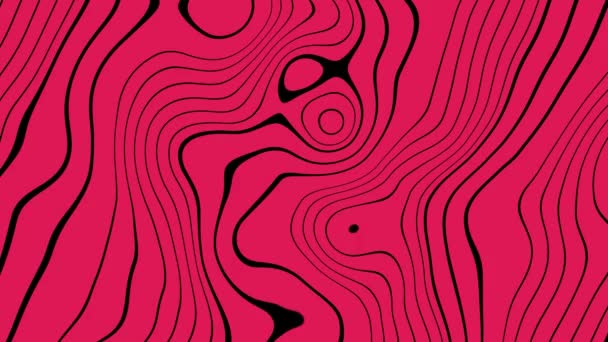 Вигнутий Безшовний Абстрактний Циклічний Фон Вигнуті Лінії Чорним Кольором Рожевому — стокове відео