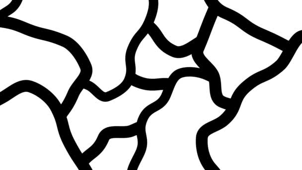 Абстрактний Чорно Білий Анімований Візерунок Внутрішньовенно Намальовані Форми Якісна Анімація — стокове відео