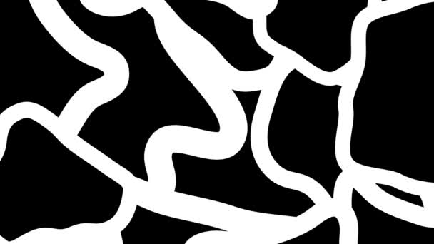 Abstrato Padrão Animado Preto Branco Intricate Formas Desenhadas Animação Alta — Vídeo de Stock