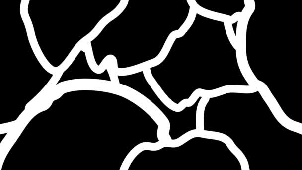 Patrón Animado Abstracto Blanco Negro Formas Intrincadas Animación Alta Calidad — Vídeos de Stock