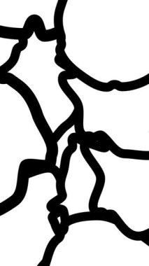 Soyut siyah-beyaz animasyon deseni. Karmaşık çizilmiş şekiller. Yüksek kaliteli animasyon. 4k.