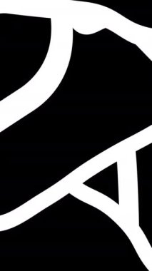 Soyut siyah-beyaz animasyon deseni. Karmaşık çizilmiş şekiller. Yüksek kaliteli animasyon. 4k.