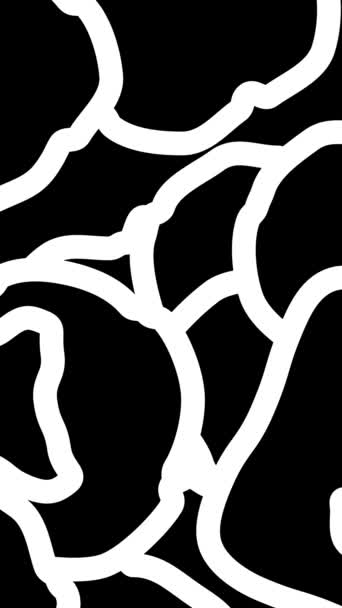 Patrón Animado Abstracto Blanco Negro Formas Intrincadas Animación Alta Calidad — Vídeos de Stock