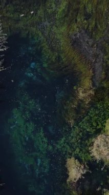 Nehir akışının ve kıyı habitatının insansız hava aracı, Azmak Nehri, Türkiye Mugla tarafından oluşturulduğu ekosistemin üstgeçit görüntüsü