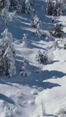 Dağların tepesinden ağaçlar, karlı ağaçlar ve dondurucu dağlar arasında karlı bir manzara.