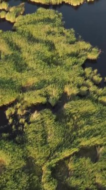 Doğal göl lagün hava manzarası