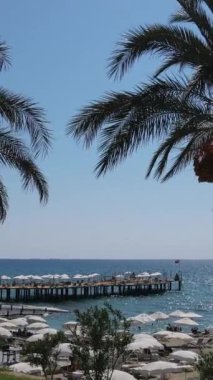 Palmiye ağaçlarının arasından sahil manzarası, palmiye ağaçlarının arasından sahile doğru giden insansız hava aracı manzarası, şemsiyelerin altında güneşlenen insanlar, Antalya, Türkiye