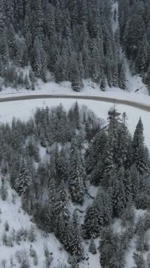 Karla kaplı ormanın içinden geçen otoyolun görüntüsü, karlı ve buzlu yollarda sineğin genel görüntüsü.