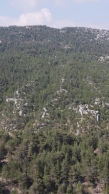 Hava Yeşil Dağ Ormanı, kozalaklı yeşil çam ormanının drone görüntüsü, dağın içindeki yeşil ormanlık görüntüler, geniş dağdaki orman manzarası.