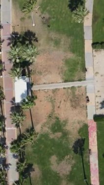 Sahil yolunda giden araçlar, palmiye ağaçları ve harika bir manzara. İHA ile sahil yolu görünümü