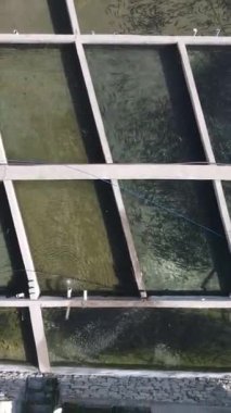 Balık havuzu üzerinde yükselen drone manzarası tesisin çevresindeki yeşil alanda güzel bir manzaradır.