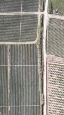 Geniş ovalardaki yeşil alanlar, farklı renklerde ekilmiş arazilerin drone görüntüsü, kırsal alanların havadan görünüşü, seraların ve tarım arazilerinin drone görüntüleri.