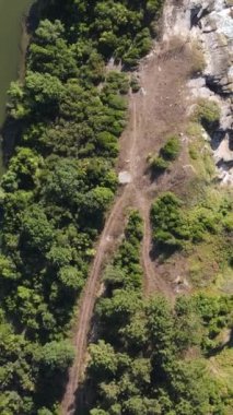 Forest On Coastal Cliff, the creek flowing into the sea and the green farmland around it, coastline parallel to the seashore