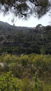 Yeşillik Doğa Güzelliği, yeşil doğadaki su yolu, nehir çevresindeki doğal yaşam alanı, iklim krizi ve yeşil dünya