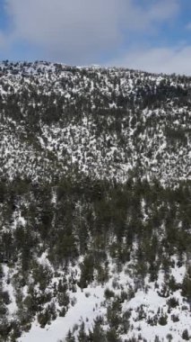 Dağın tepesindeki donmuş ağaçlar soğuk güneşli bir günde beyaz karla kaplı, kış çok soğuk, bulutlu bir hava.