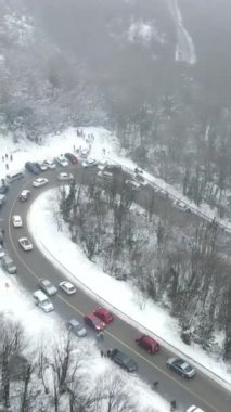Trafik karlı yolu, kavisli yolun kenarına park etmiş arabaların trafik görüntüsü karla kaplı ormanda ilerlemeye çalışıyor.
