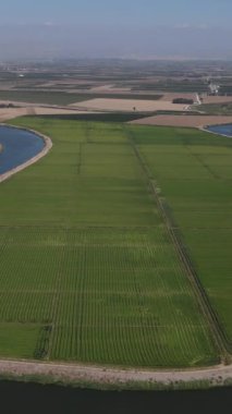 Dolaşan nehir, kıvrılan nehir akıntısı drone manzarası, nehirden beslenen geniş tarım arazisi.