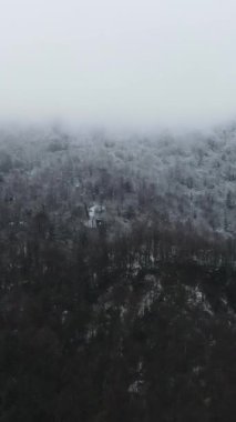 Karlı orman manzarası, karlı orman manzarası yoğun bir sis bulutu, sisli orman manzarası
