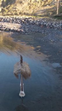 Drone view of natural sea swing in Shoreline, image of sea swing made of wood installed on the seashore