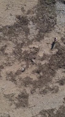 Çevreyi temizleyen insanların insansız hava aracı görüntüsü, plajı temizlemeye çalışan gönüllülerin hava görüntüsü, kirliliğe karşı mücadele eden sorumlu insanlar.