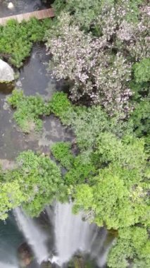 Yeşil çimenlerin arasından akan şelalenin görüntüsü, Yerkopru Ulusal Parkı 'nın insansız hava aracı görüntüsü, uçurumdan akan dere suları.