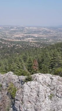 Green forest from mountain peak, birds eye view from mountain peak, drone view of coniferous green pine forest, images of green woodland inside the mountain