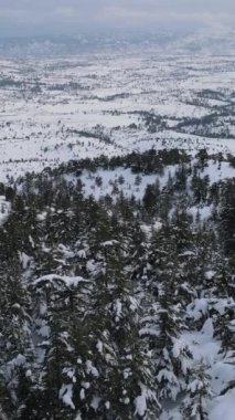Karla kaplı ormanın hava görüntüsü, kozalaklı çam ormanının beyaz, soğuk mevsim dağ sıraları ve tepelerin manzarası.