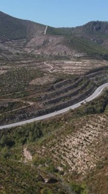 Muhteşem renkli dağlık arazi yeniden ekilmiş görkemli orman, yamaçtan gelen drone manzarası..