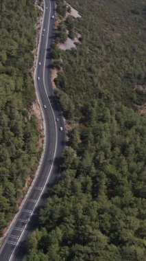 Ağaç çizgili otoban drone ile ateş ediyor, ormandan geçen yol ulaşımı, dağdan geçen araç.