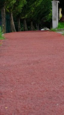 Yeşil parkta yürüyüş yolunda koşan ağaç delikanlıları, parkta spor yapan gençleri farklı açılardan gören insanlar.